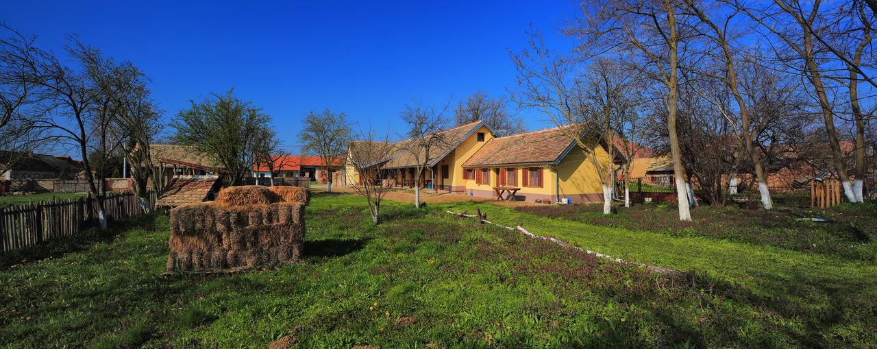 Sobe Kod Baje - Baranjska Kuca Bed & Breakfast Karanac Exterior photo