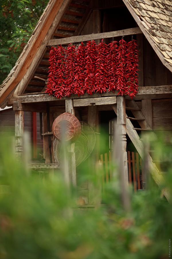 Sobe Kod Baje - Baranjska Kuca Bed & Breakfast Karanac Exterior photo